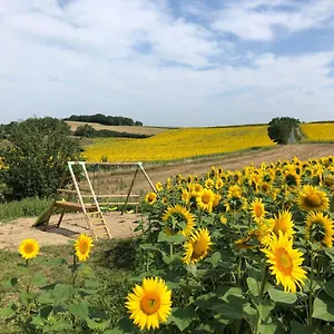 Les D'en Julio Hébergement de vacances Puylaurens